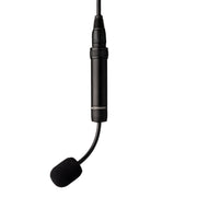 Earthworks C30-S ChoirMic Gen 2 Supercardioid Hanging Microphone - Black