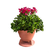 SoundTube OmniPlanter 6.5 Series Omnidirectional Outdoor Planter Speaker - Terra Cotta / Stereo SweetSpot