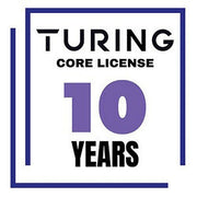 Turing Video Vision VSaaS Core License Year/Camera - 10 Years