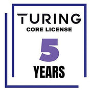 Turing Video Vision VSaaS Core License Year/Camera - 5 Years