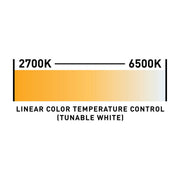 ADJ Encore LP12Z IP LED Wash Fixture