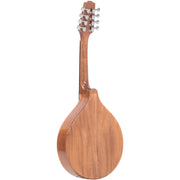 Gold Tone Traditional Irish Mandola with Pickup - Natural