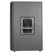 SoundTube PS1290i 12-Inch Passive Performance Series Loudspeaker