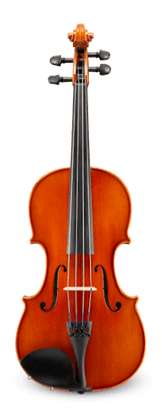 Eastman VA100ST15 - 15” Viola Outfit