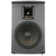SoundTube PS1290i 12-Inch Passive Performance Series Loudspeaker