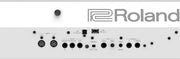 Roland FP-90X 88-Key Digital Piano - White w/ Sustain Pedal