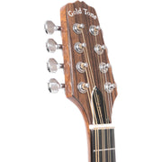 Gold Tone Traditional Irish Mandola with Pickup - Natural