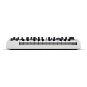 Novation Bass Station II Swifty Edition Paraphonic Analog Synthesizer
