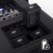 LD Systems ANNY 12 Battery-Powered Bluetooth PA System, 12-Inch