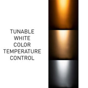 ADJ 40 Hex Panel IP 20W Hex LEDs Wash/Blinder/Color Strobe Fixture