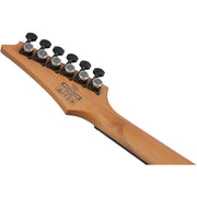 Ibanez RGD61 6-String Electric Guitar - Black Aurora Burst Matte