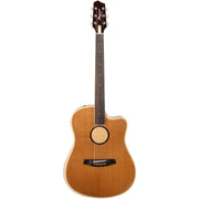 LR Baggs AEG-1 Acoustic Electric 6 String Guitar - Torrefied Sitka Spruce