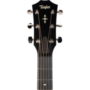 Taylor 517E Grand Pacific Acoustic Electric Guitar in Wild Honey Burst
